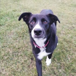 Meet your Posher, Cayley